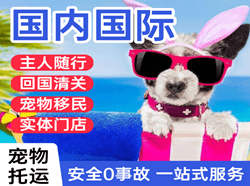 胶东机场快递国际宠物托运 【国
